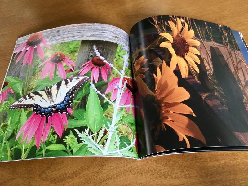 2 5  2015 photobook inside look