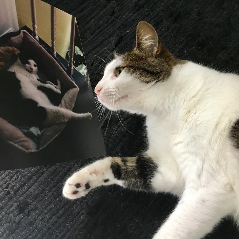 3 2015 photobook Pearl approves of her photo