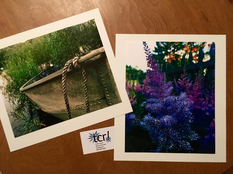 Old man boat and Purplish flower bush prints