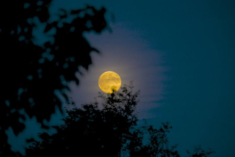 This Weekend's Stargazing Triple Threat: Harvest Moon, Eclipse and Possible Supermoon