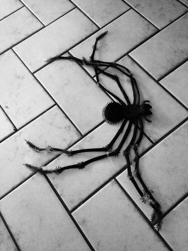 18'' Halloween spider