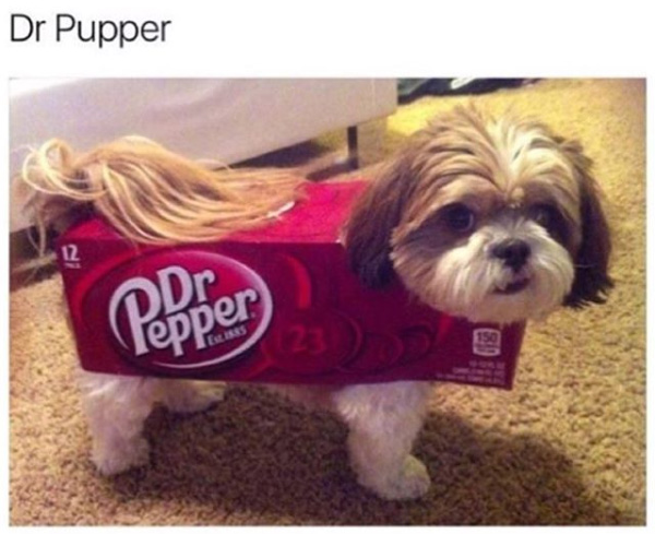 Dr Pupper