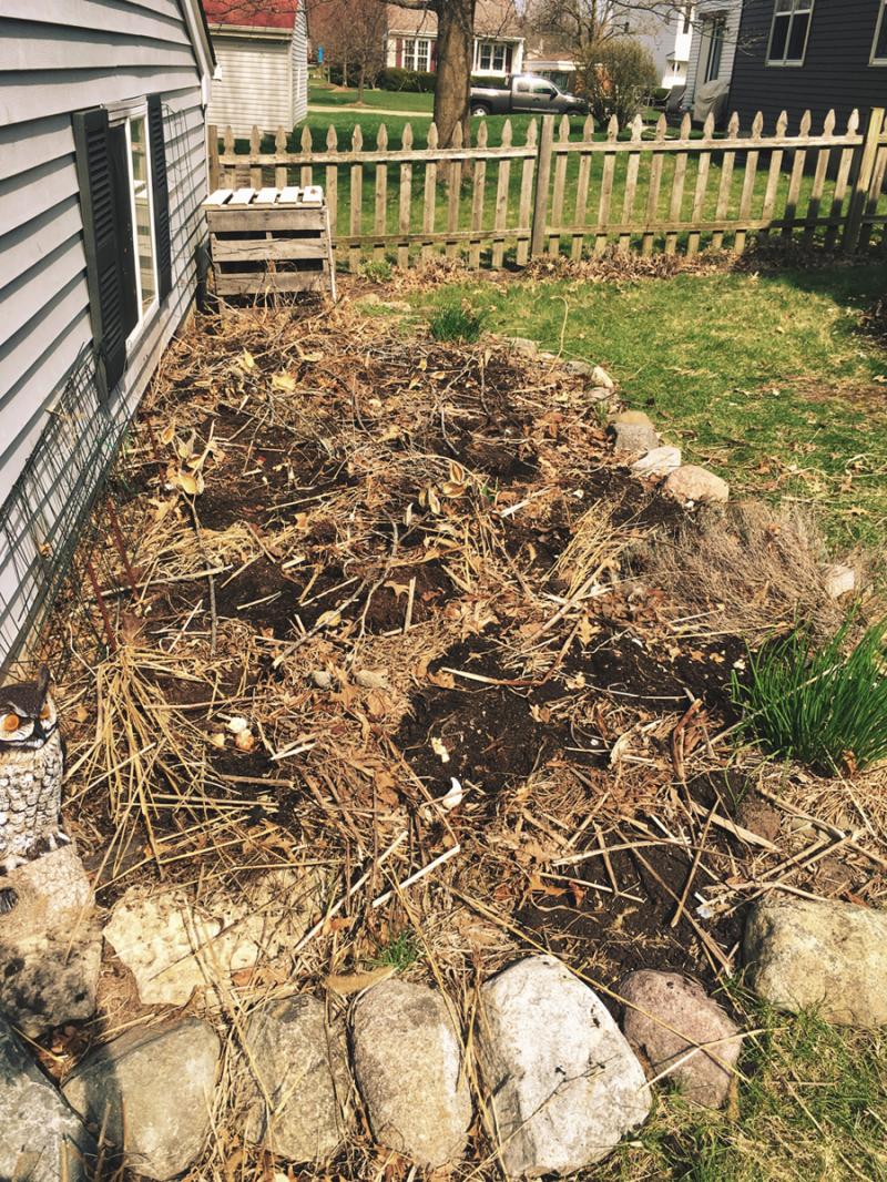 Garden ready for 2018