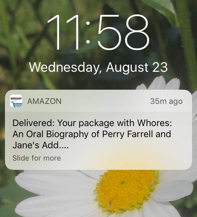 Delivered: Your package with Whores