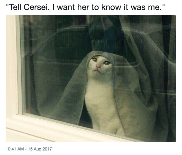 Tell Cersei I want her to know it was me