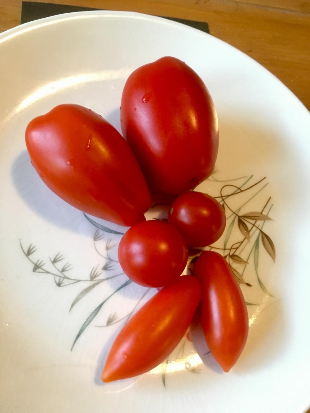 Three kinds of tomatoes