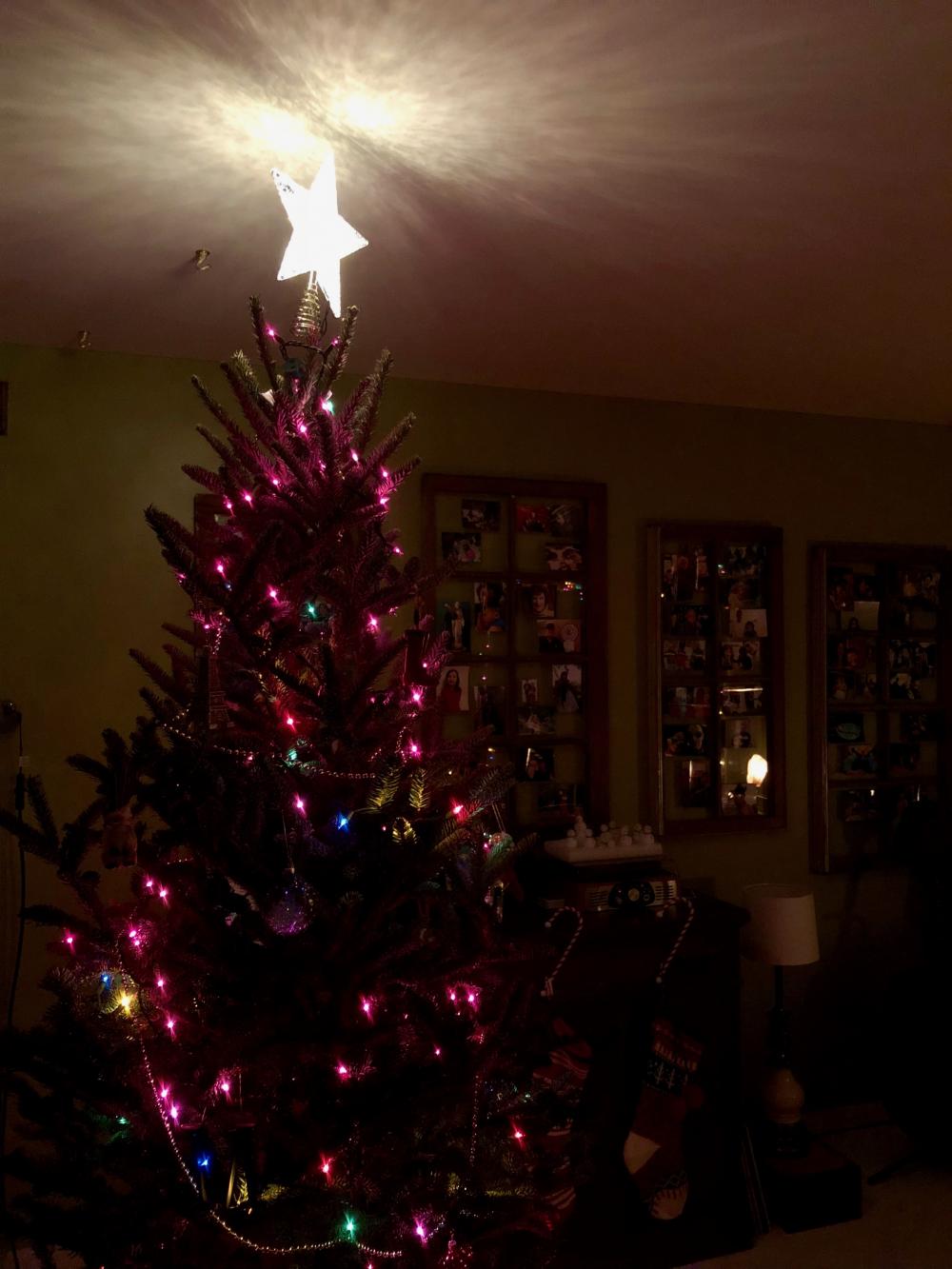 Christmas tree with lit star