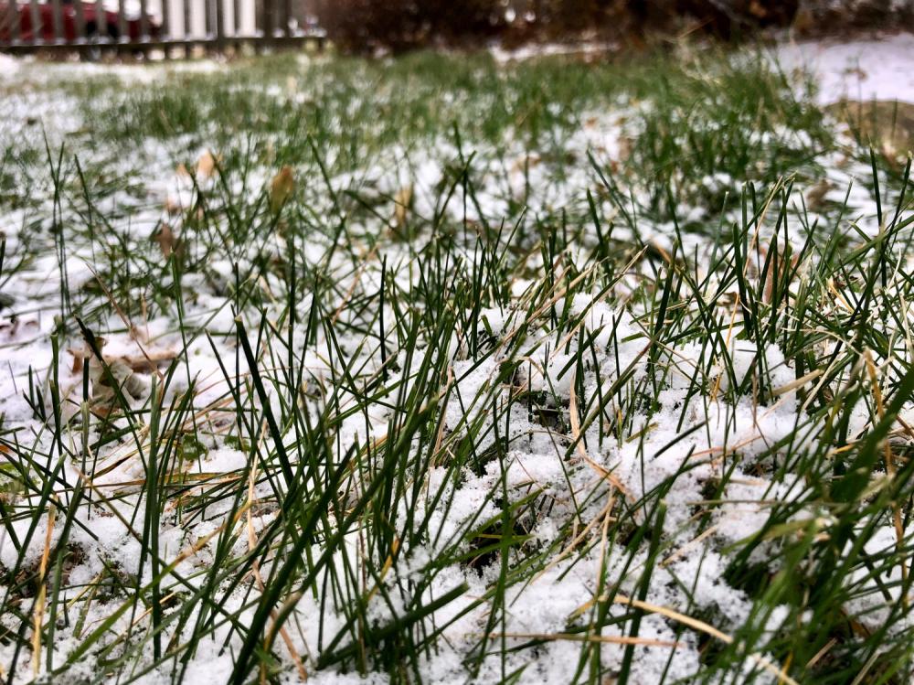 First snow of Dec 2017