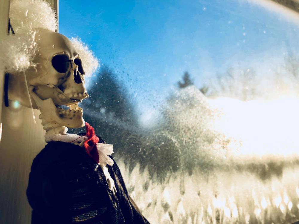 Happy sunny skeleton sunrise