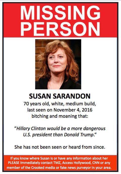 Missing Person - Susan Sarandon