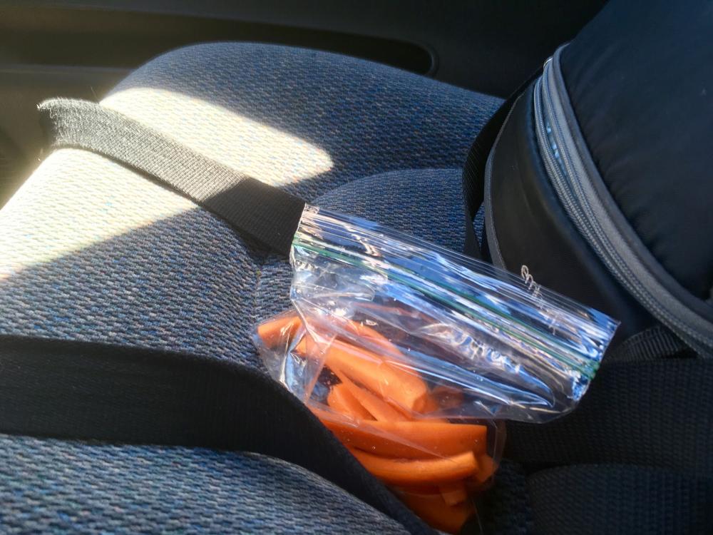 Eating carrots on the drive home