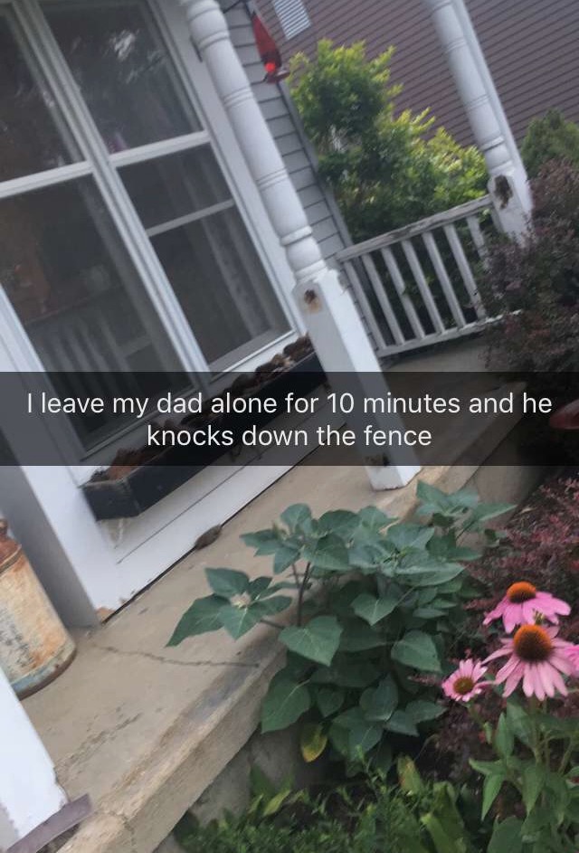 Maggie notes my progress on Snapchat