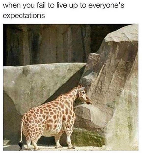 when you fail to live up to everyones expectations