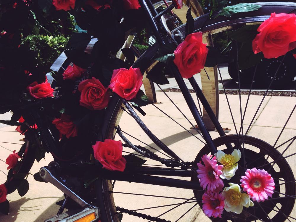Bikes and flowers 3