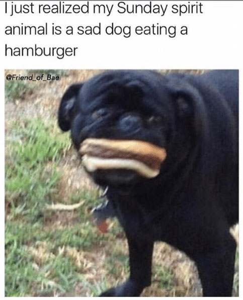 I just realized my Sunday spirit animal is a sad dog