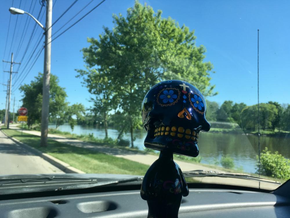 Sugar Skull by the river
