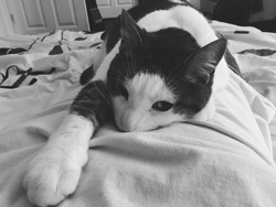 This ones exhausted but still watching my every move