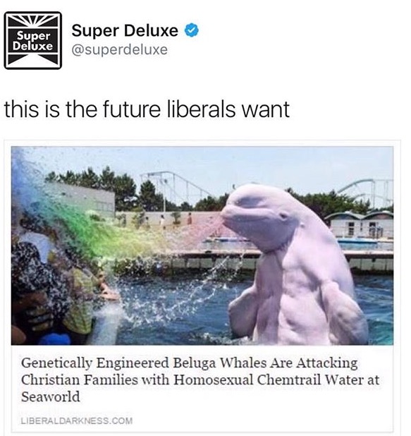 this is the future liberals want