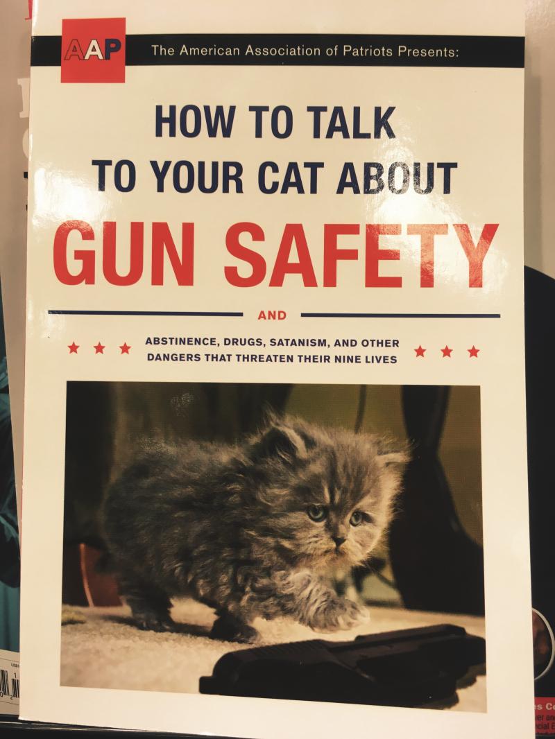 How to talk to your cat about gun safety