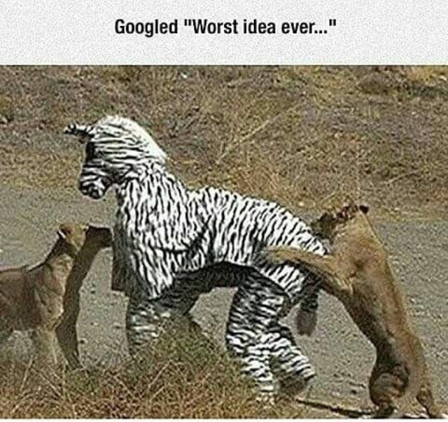 Googled Worst ideas ever
