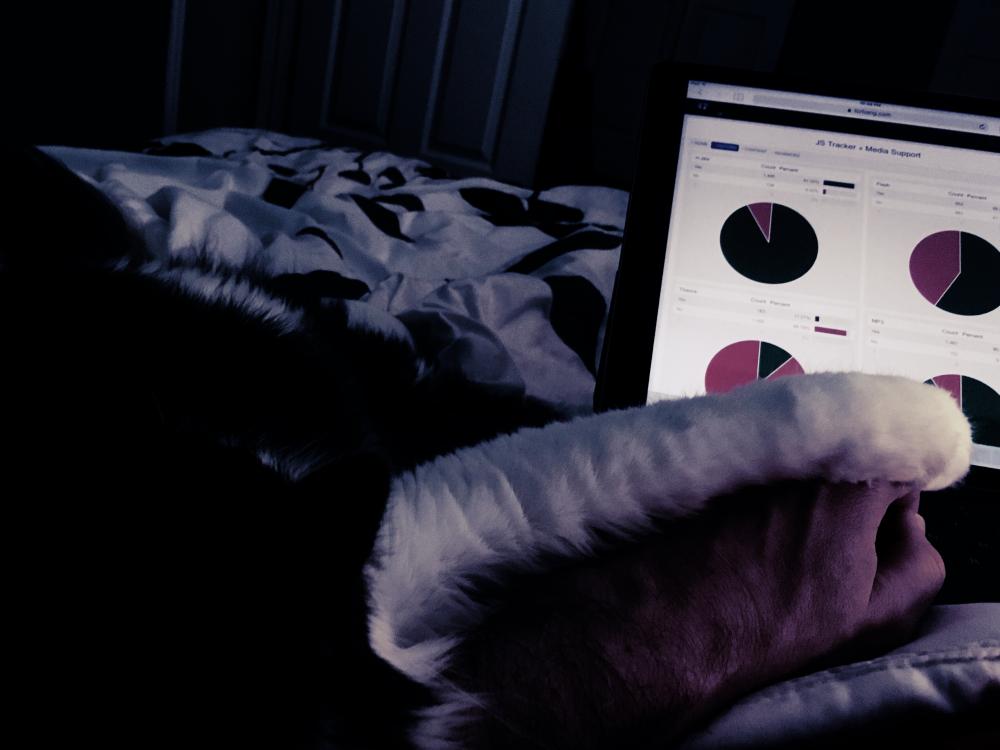 Just cat and I looking at some pie charts