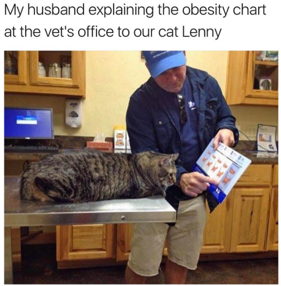 My husband explaining the obesity chart