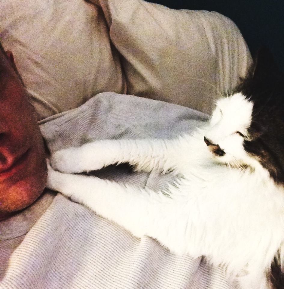 Yep, cat, I'm still alive