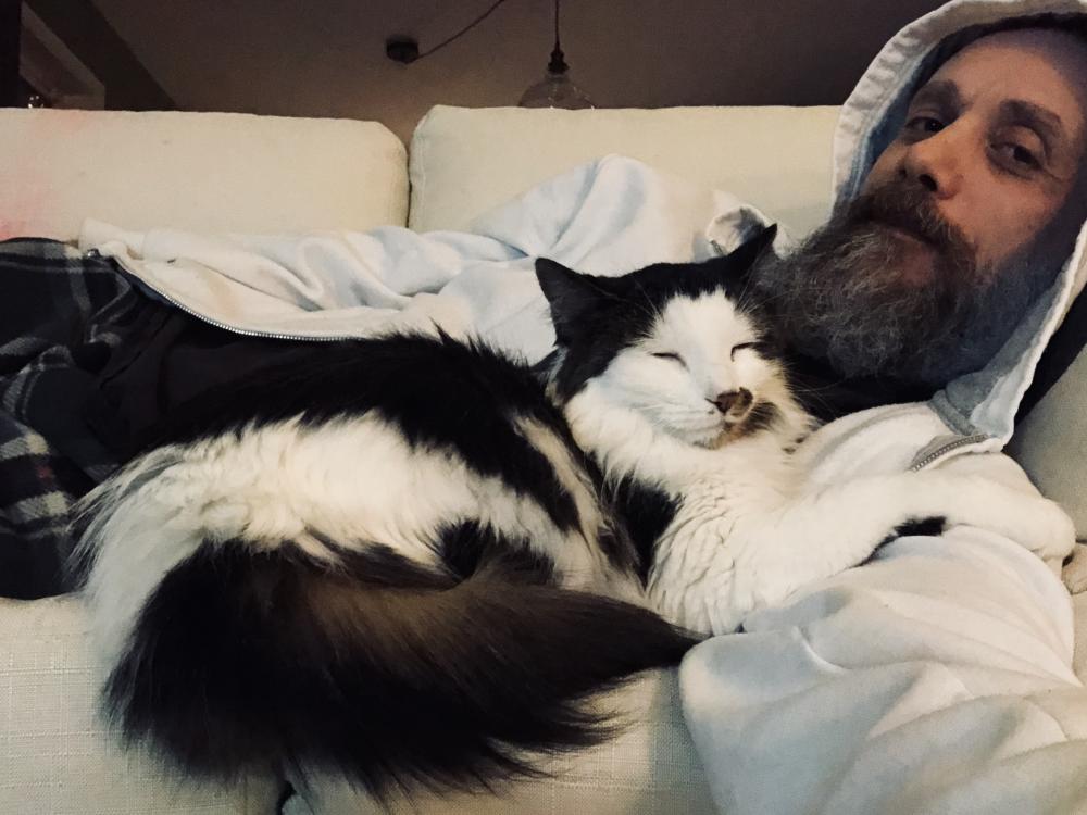 Cat time on the couch