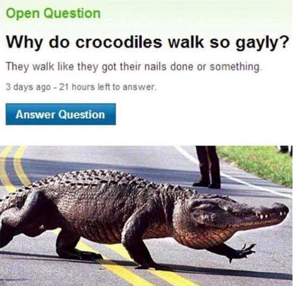 Why do crocodiles walk