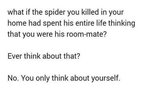 what if the spider you killed