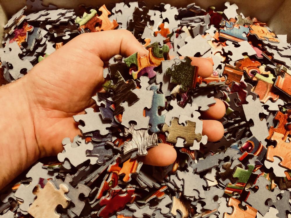 Cat Bookshelf Jigsaw Puzzle pieces