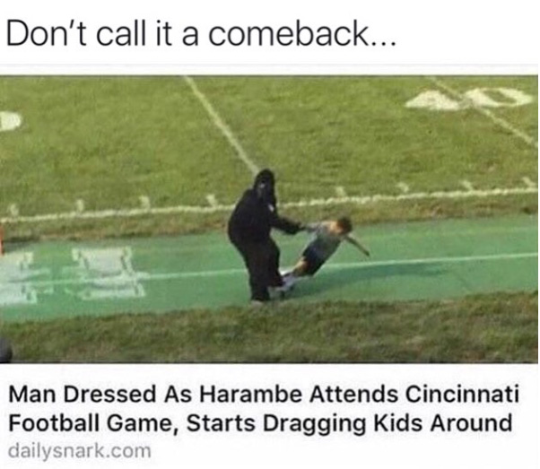 Dont call it a comeback