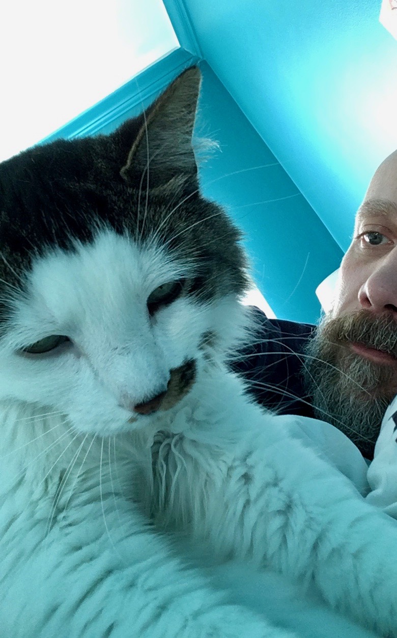 Never alone at home 2