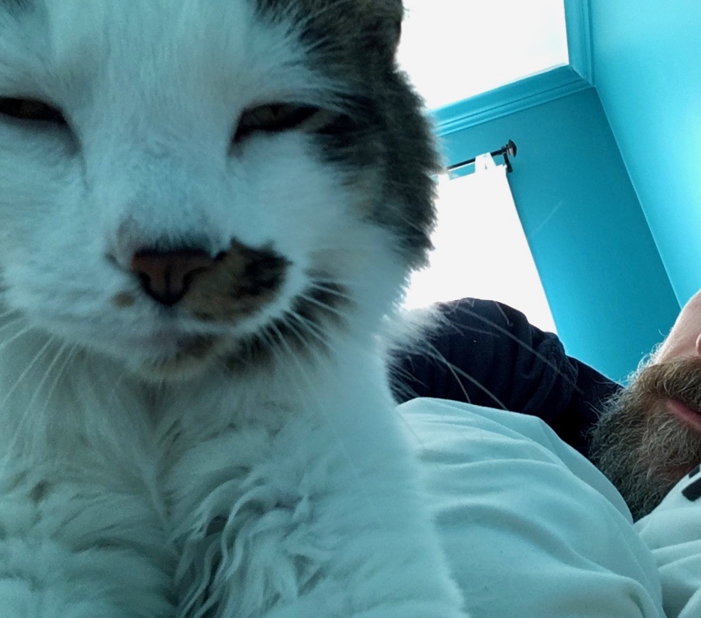 Never alone at home 3