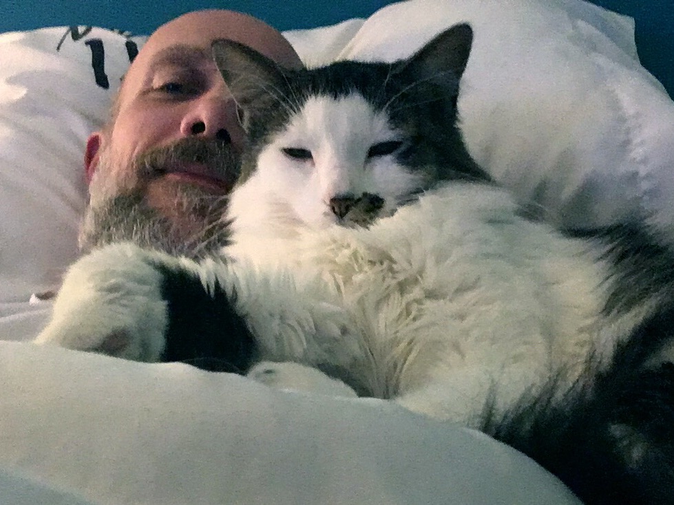 Bedtime cat