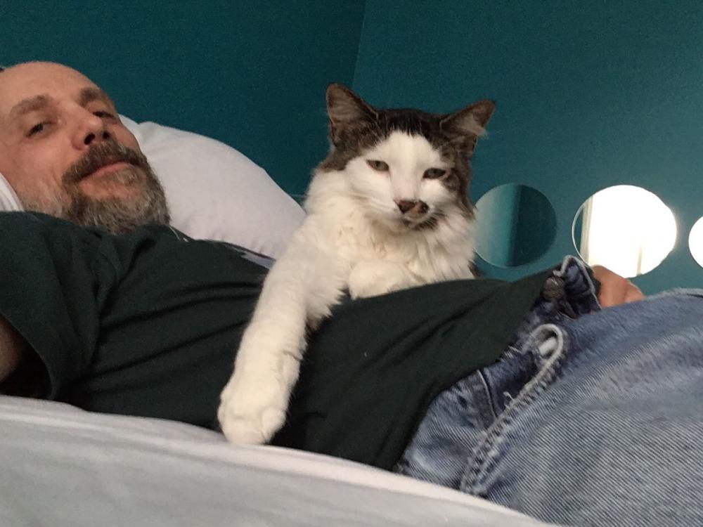 Cat more interested in my phone than taking a nap