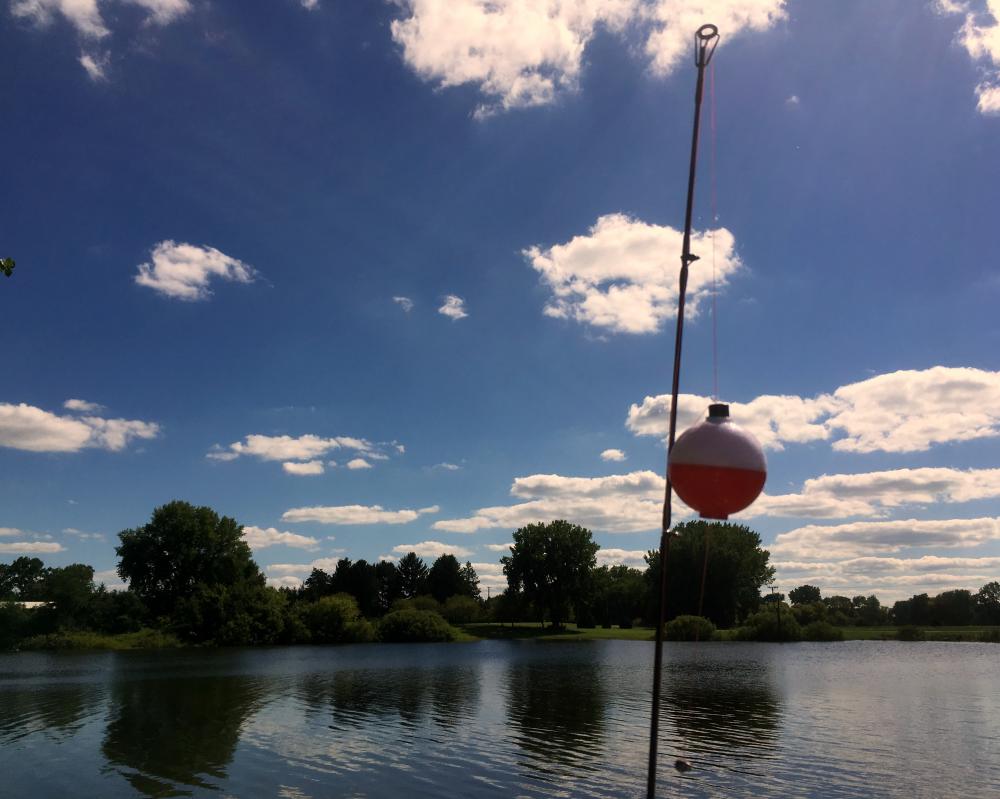 Fish pole with bobber