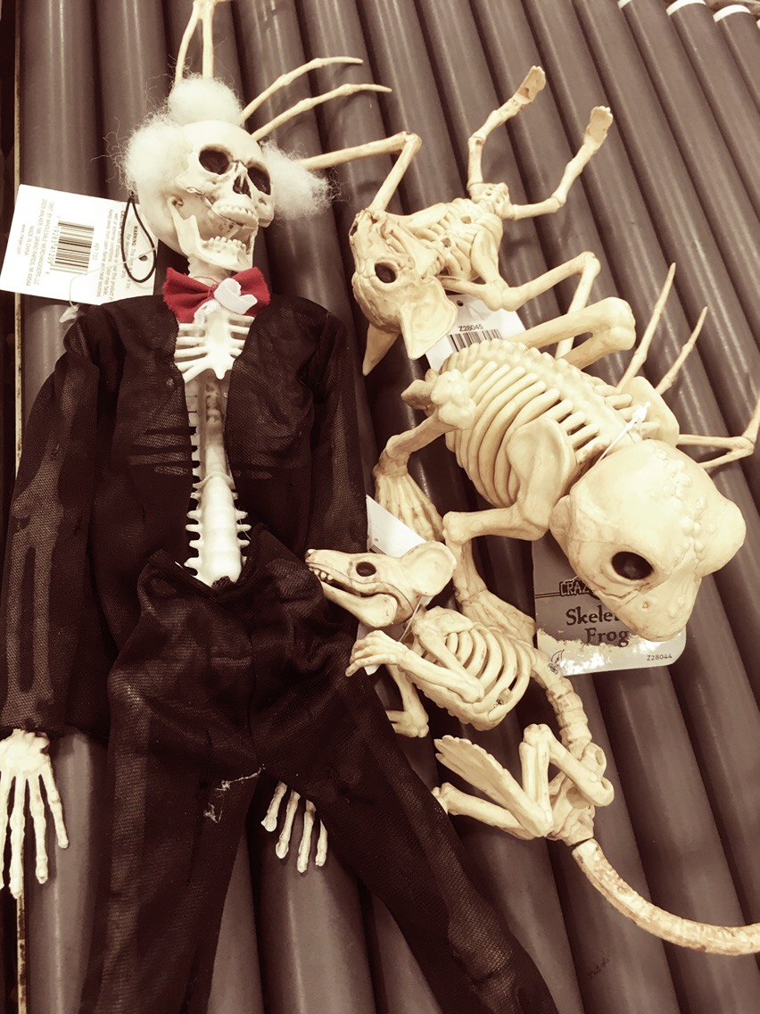 Halloween 2017 skeleton critters