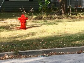 Hydrant on Division