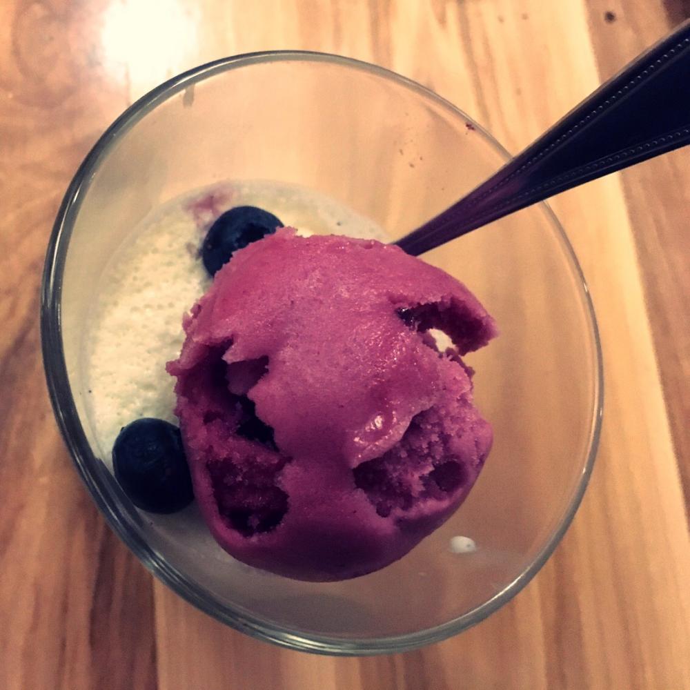 Panna Cotta plus Blueberry Sorbetto