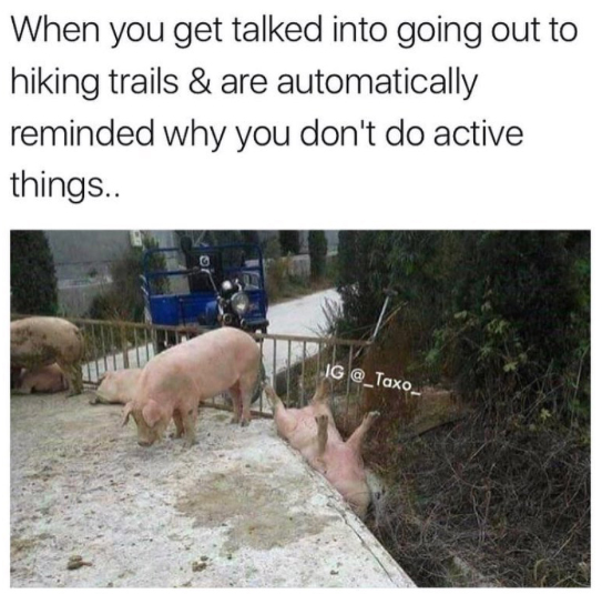 When you get talked into going out