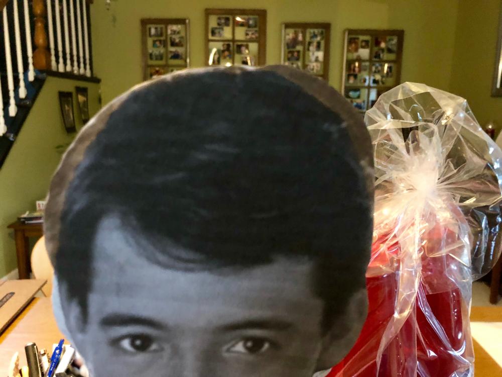 Ferris Bueller cutout