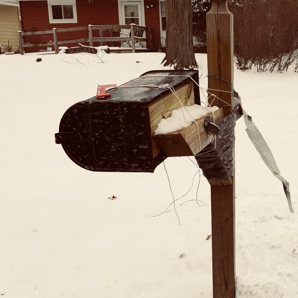 Hog tied mailbox