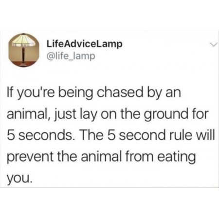 If youre being chased by an animal