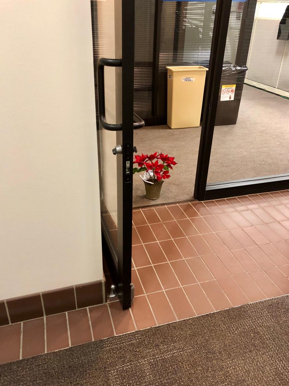 Poinsettia in the door way