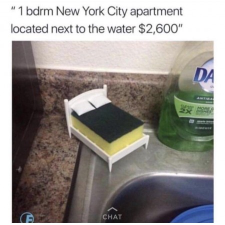 1 bdrm New York City apartment