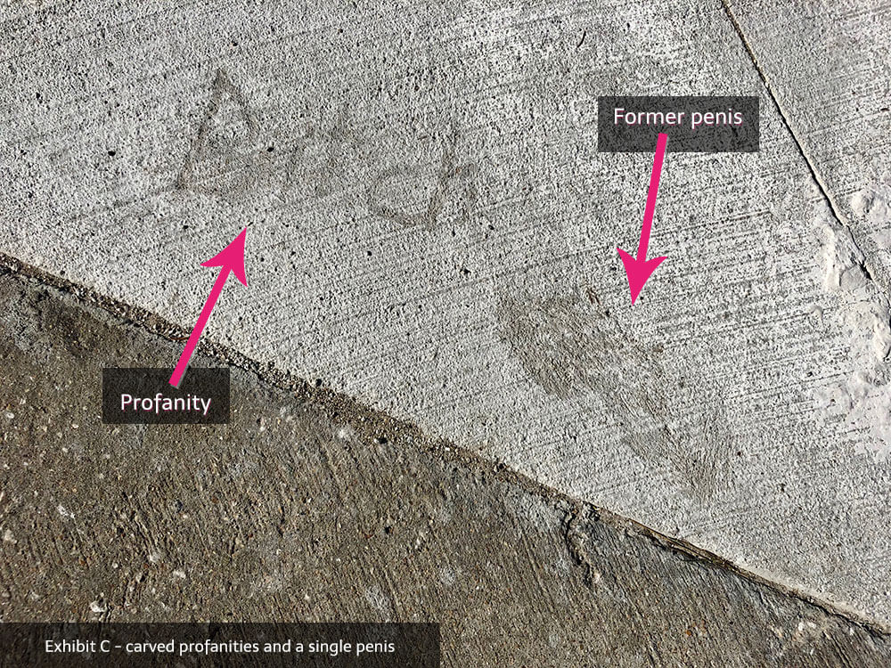 Exhibit C: carved profanities and a single penis