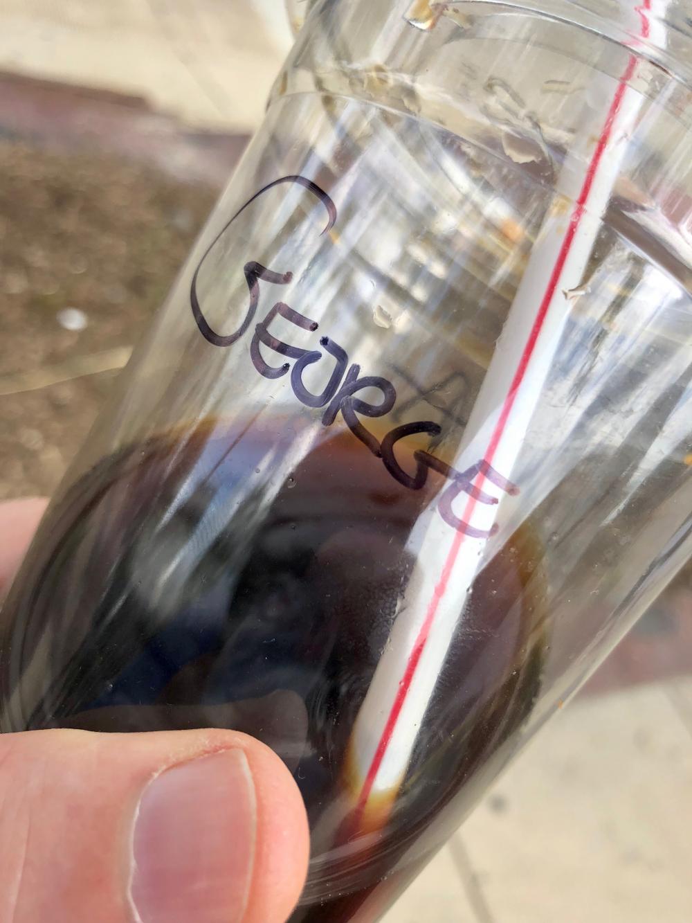 George to go cup