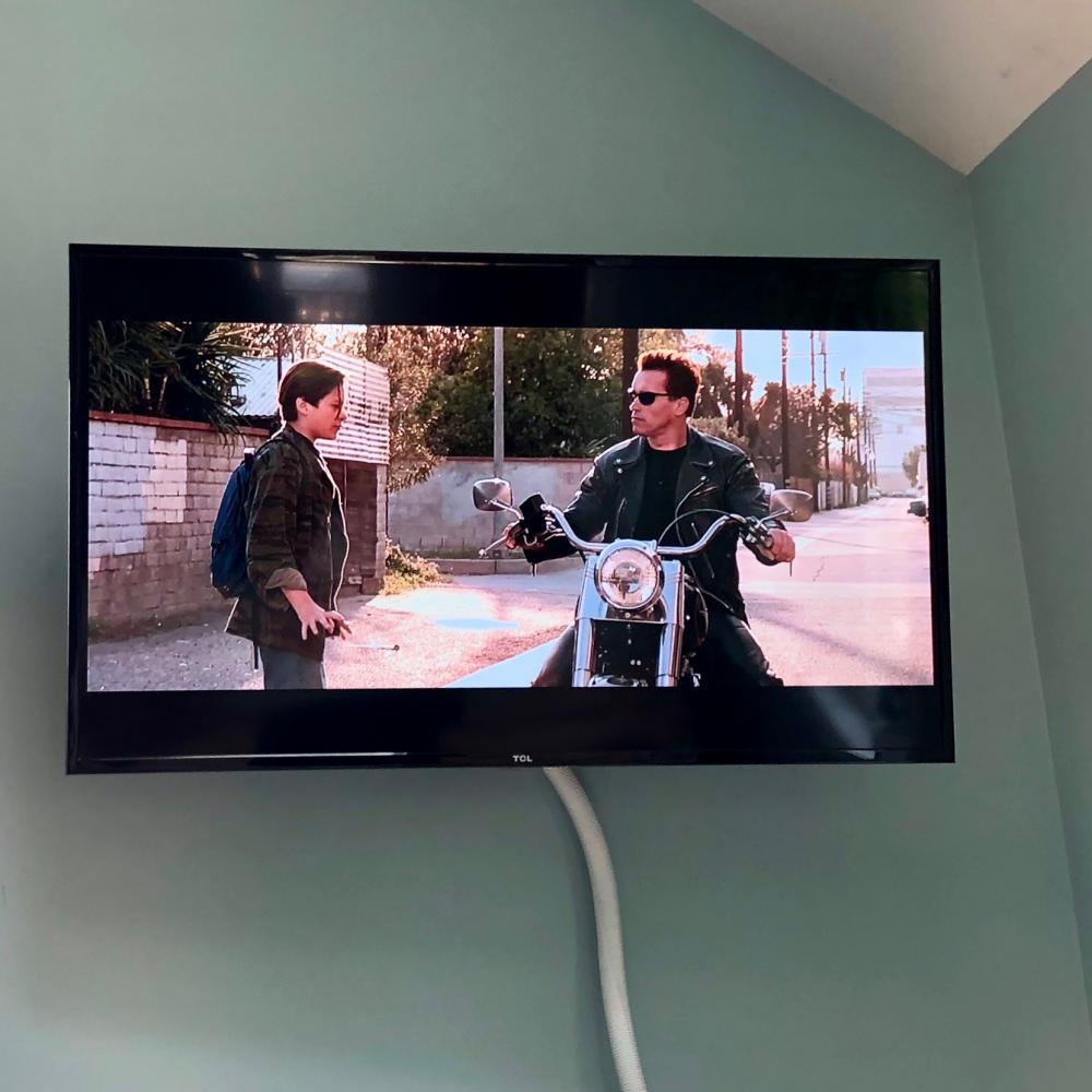 Terminator 2 on the TV