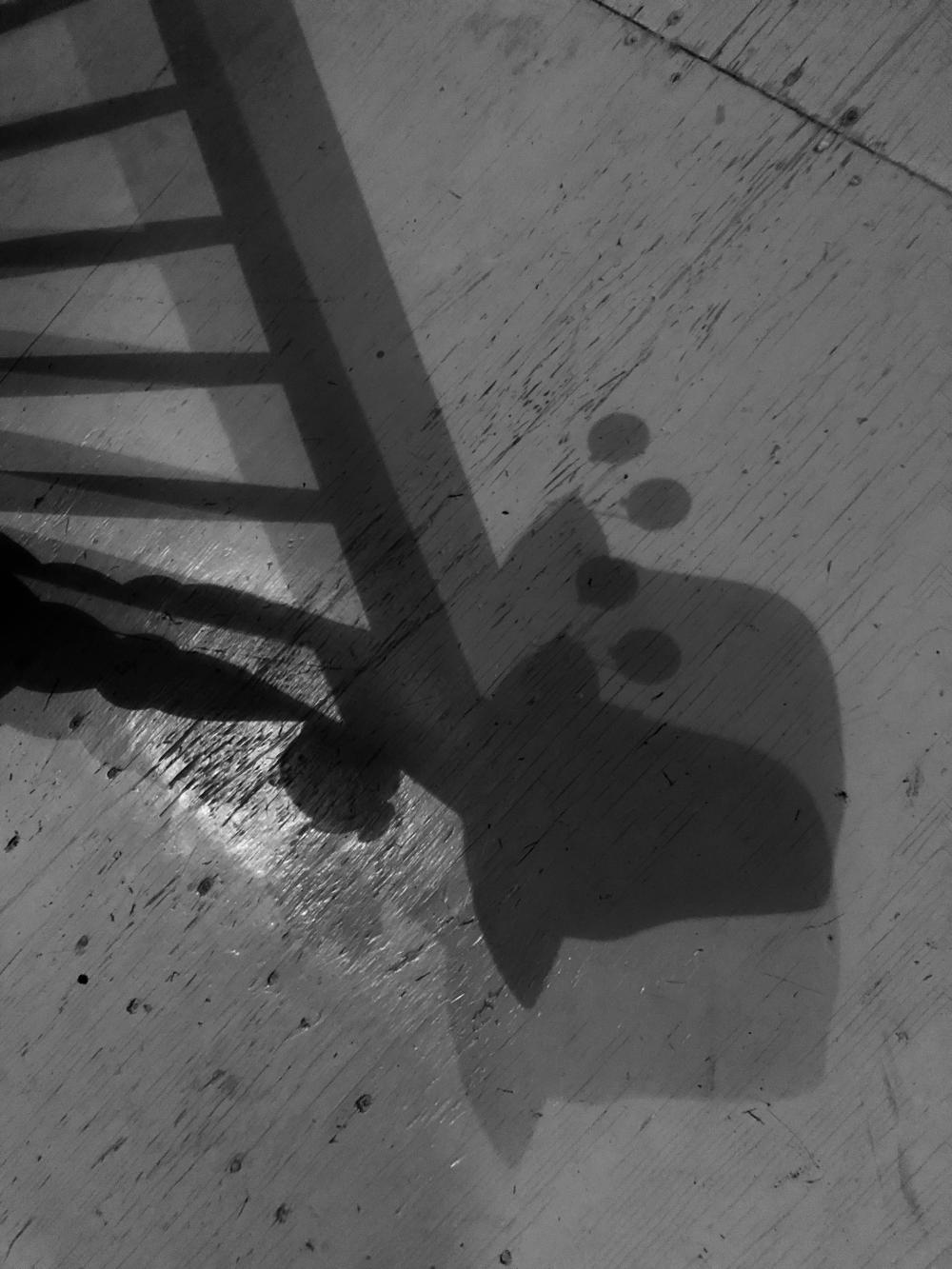 Black and white floor shadows